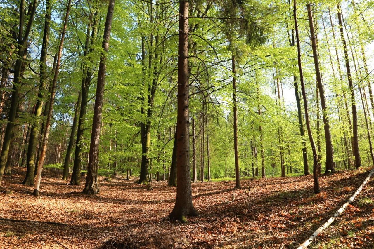 Ubytování Na Sýpce Bela  Esterno foto