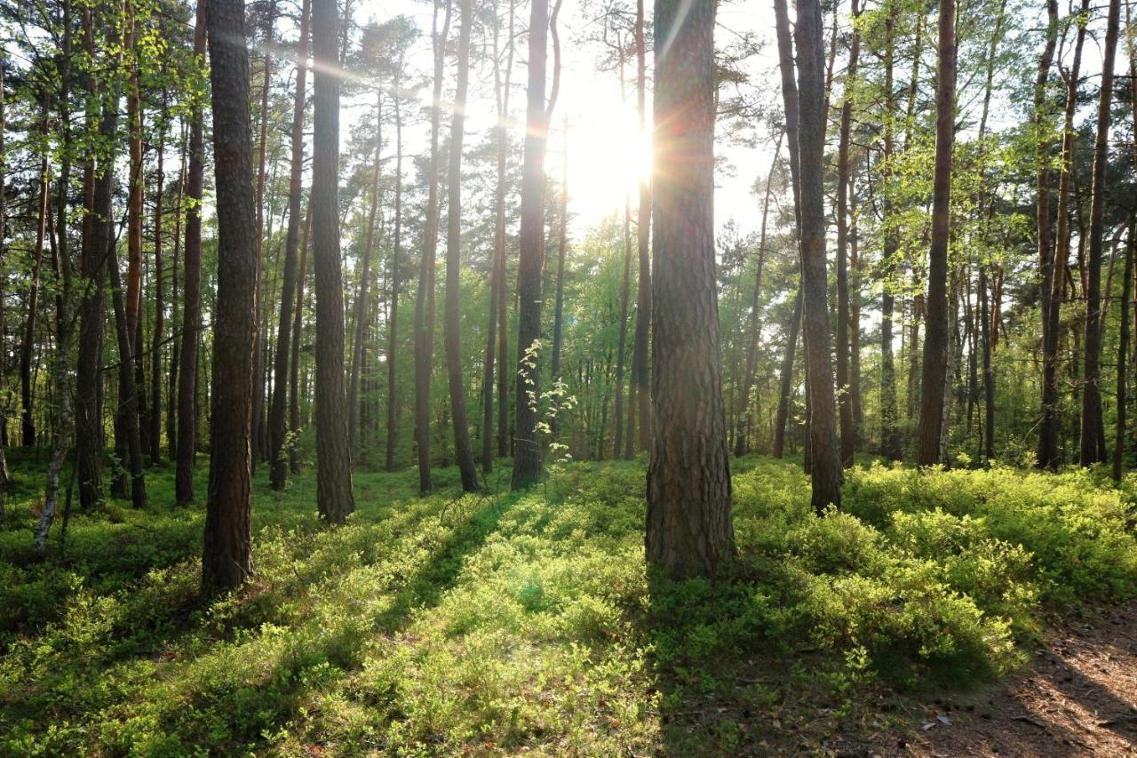 Ubytování Na Sýpce Bela  Esterno foto